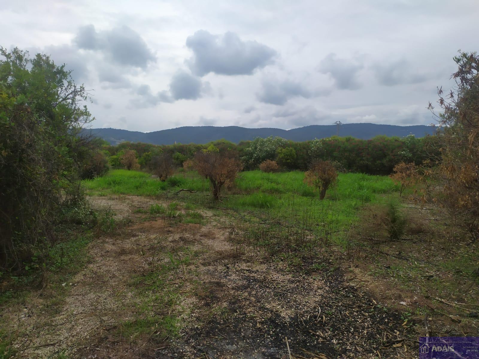Venta de chalet en La Font d en Carròs