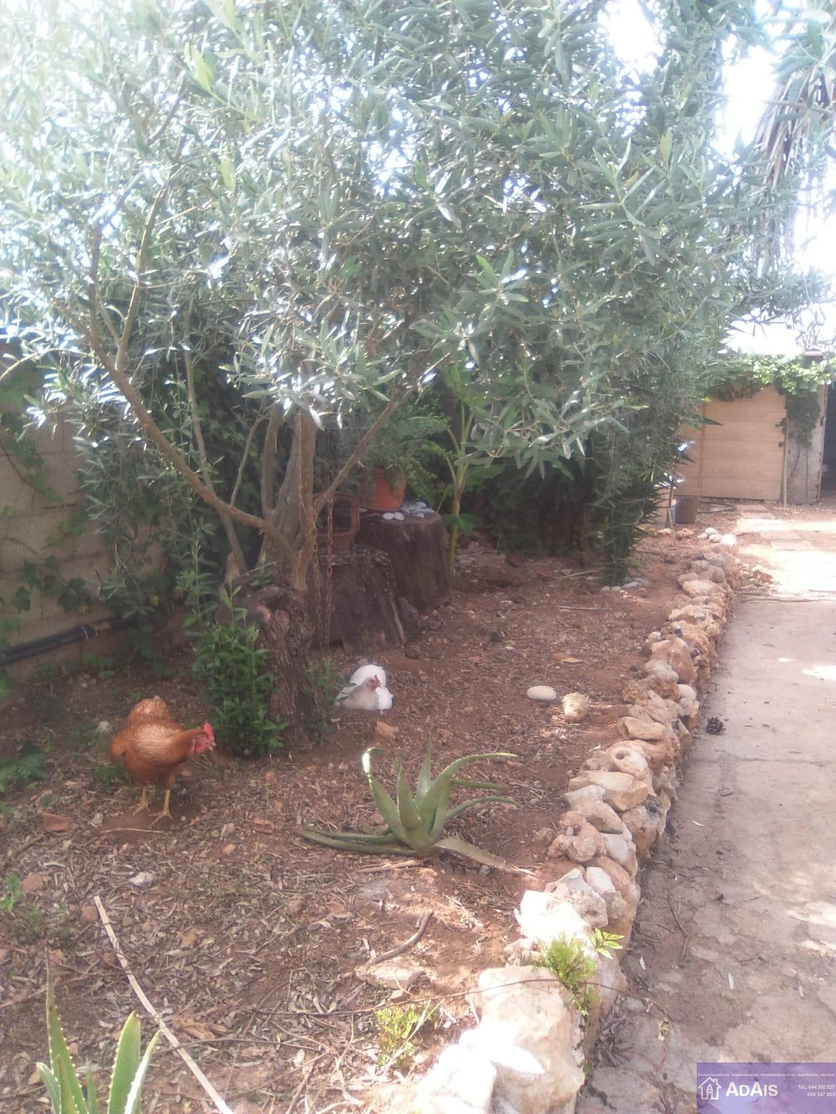 For sale of chalet in Gandia