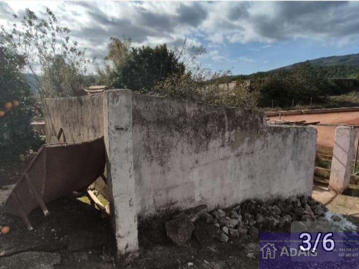 Venta de chalet en Palma de Gandía