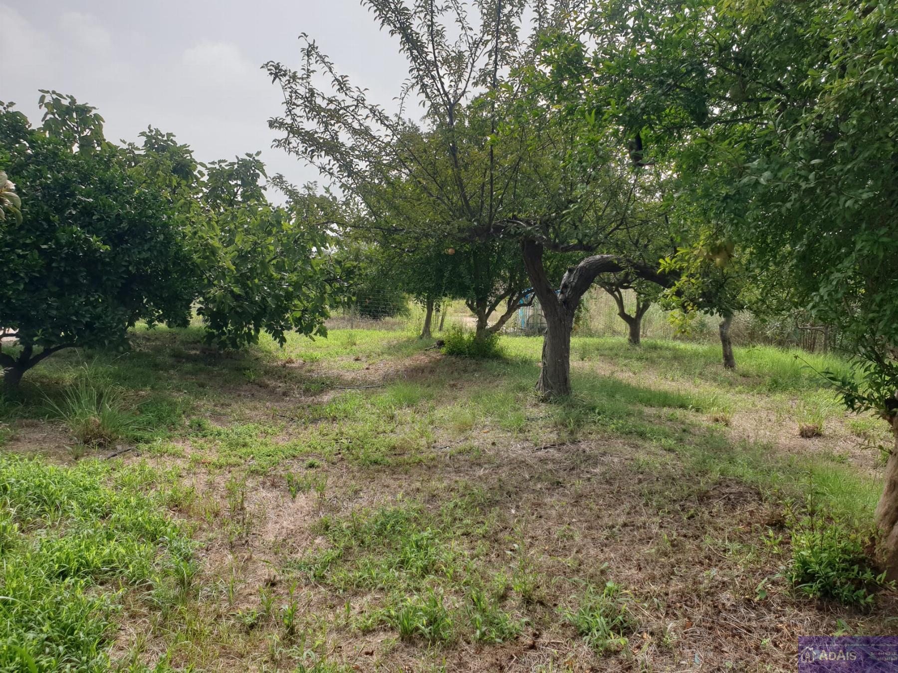 For sale of chalet in Oliva