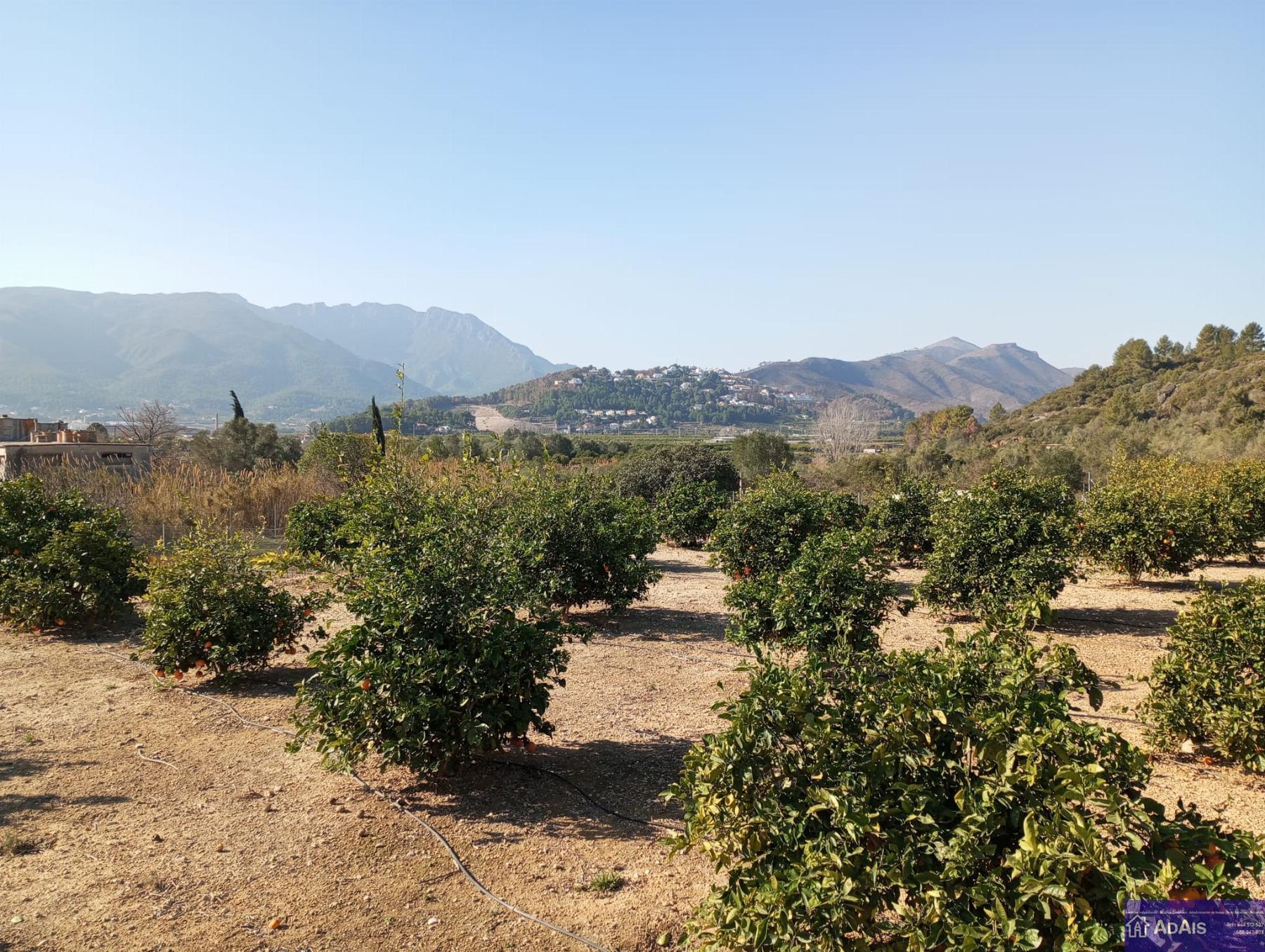 Venta de terreno en Beniflá