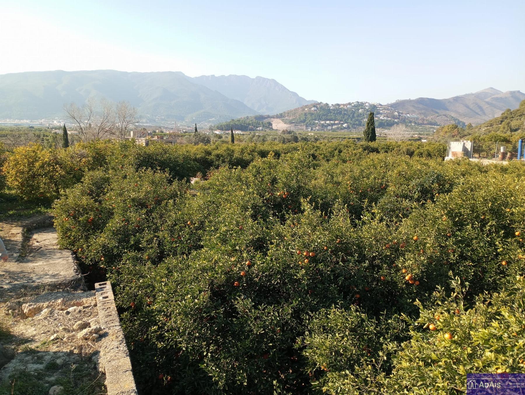 Venta de terreno en Beniflá Venta de terreno en Beniflá