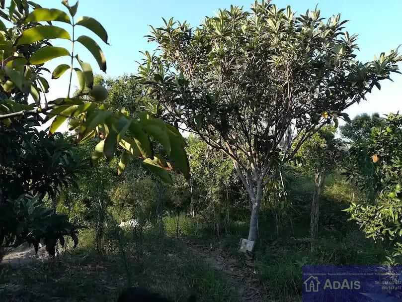 Venta de chalet en Bellreguard
