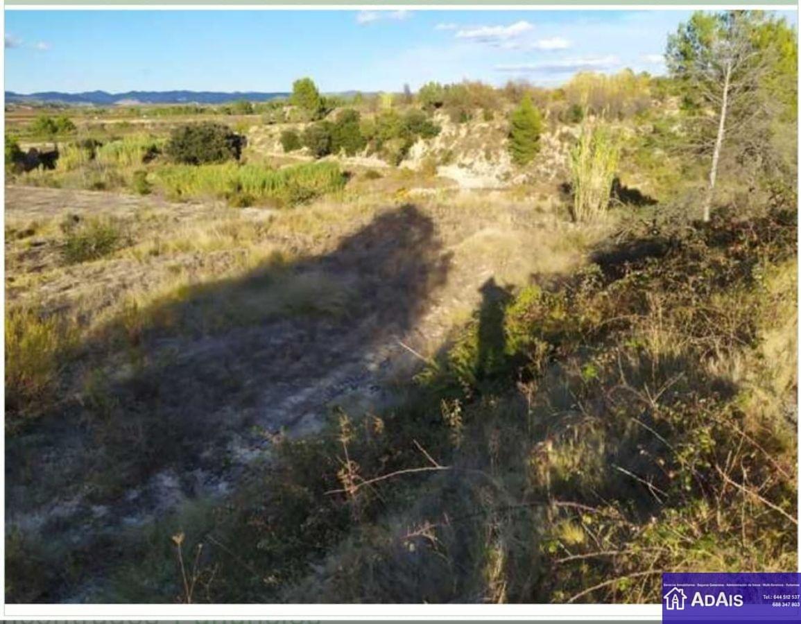 For sale of land in Marchuquera