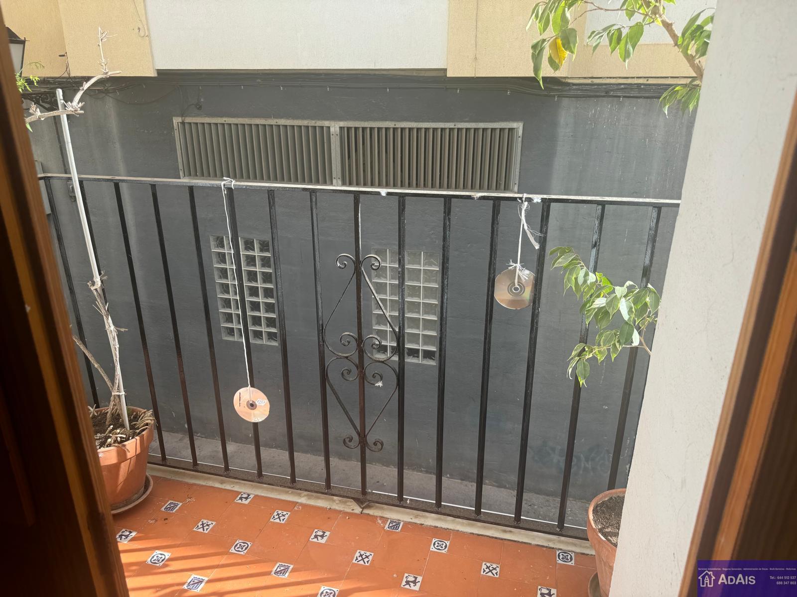For rent of flat in Gandia
