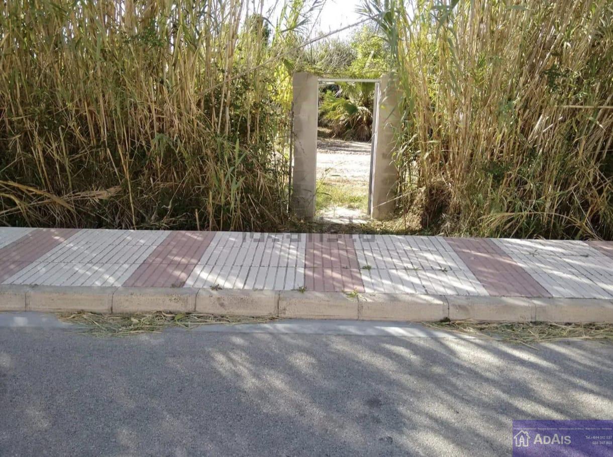 For sale of land in Daimús