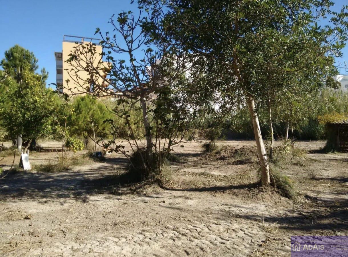For sale of land in Daimús