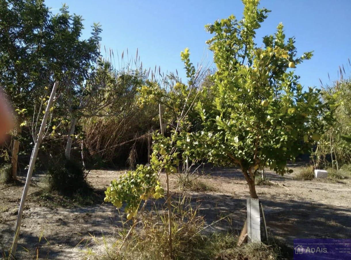 For sale of land in Daimús