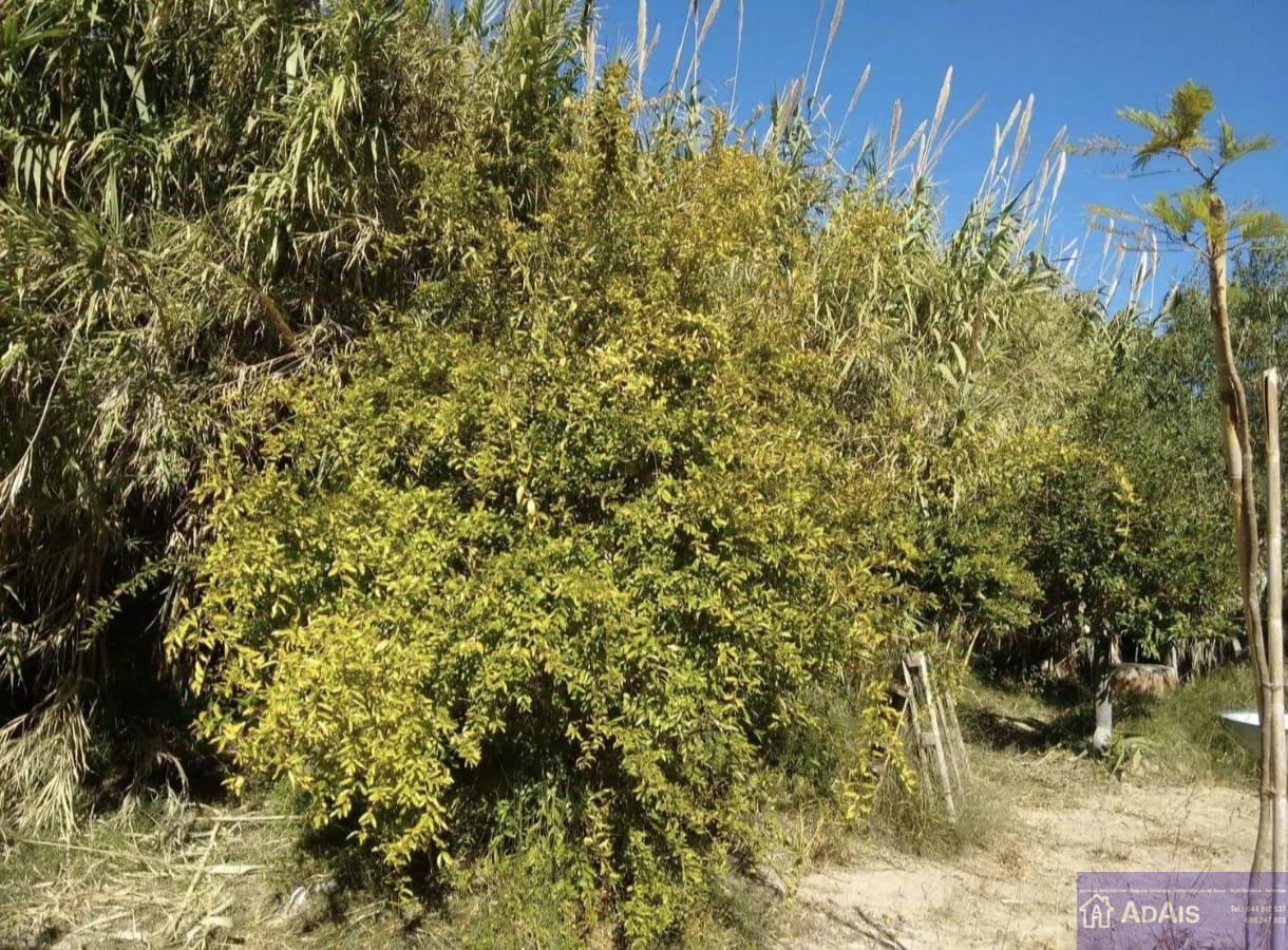 For sale of land in Daimús