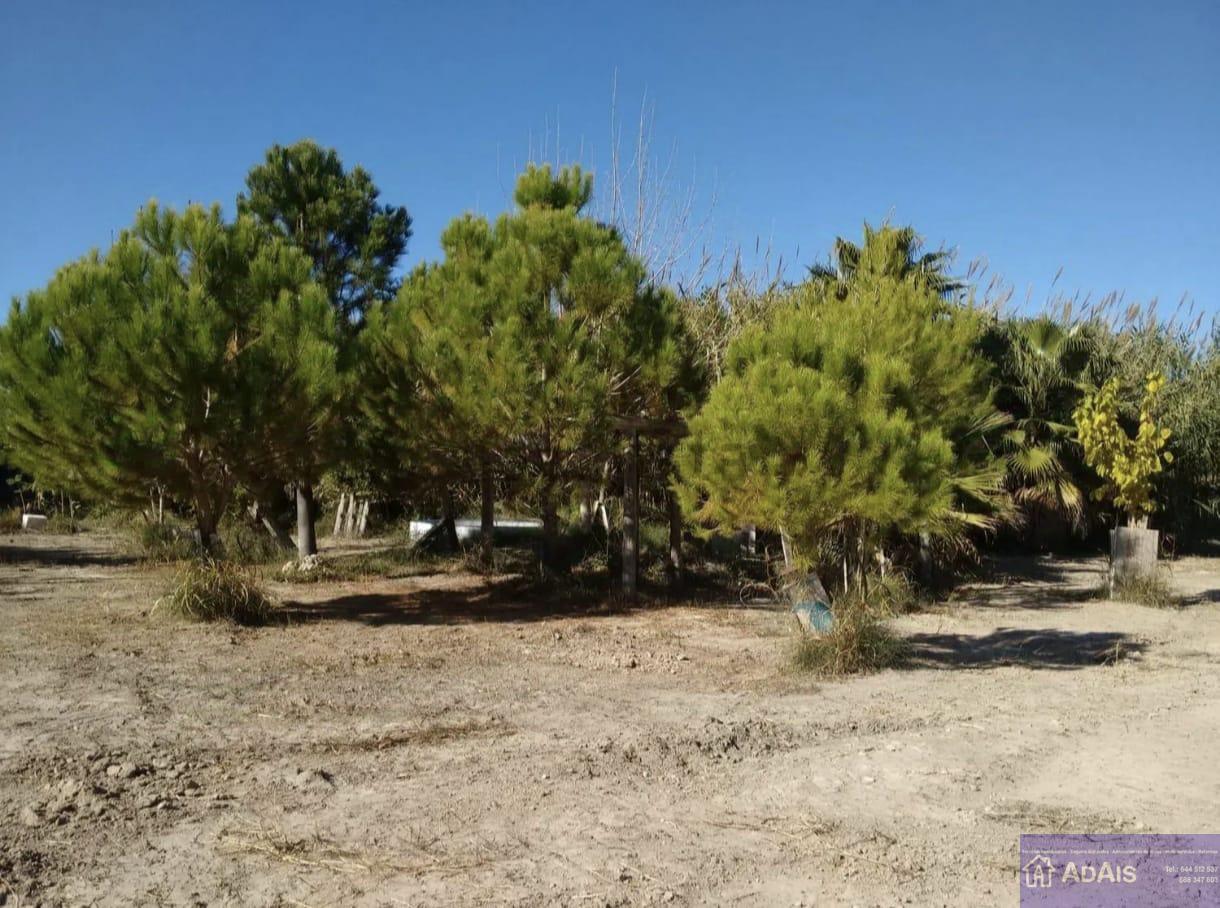 For sale of land in Daimús