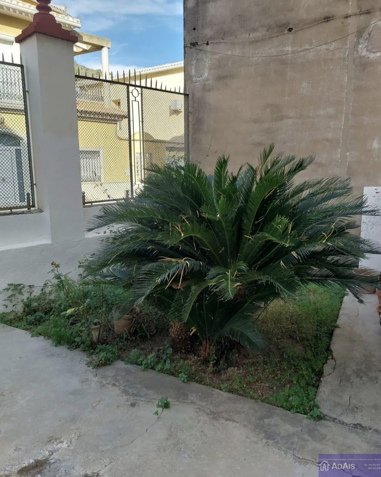 For sale of house in Palma de Gandía