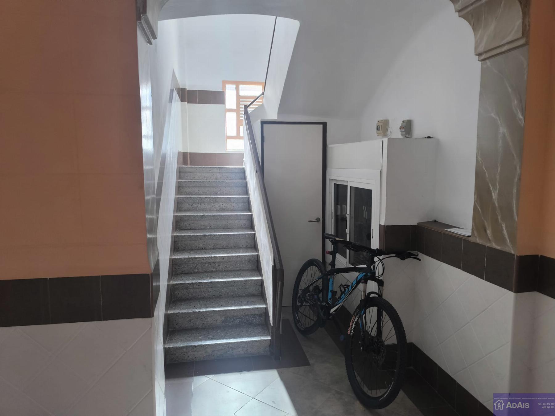 Alquiler de apartamento en Piles
