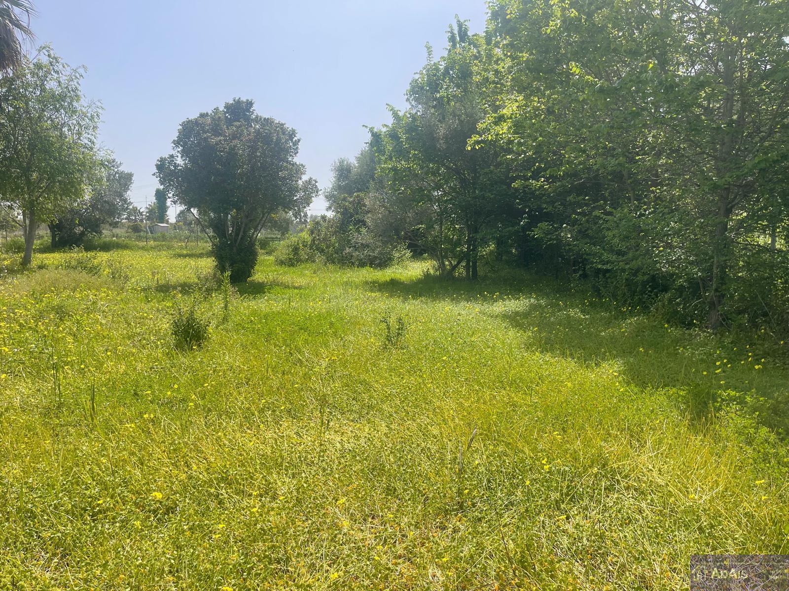 Venta de chalet en Gandia