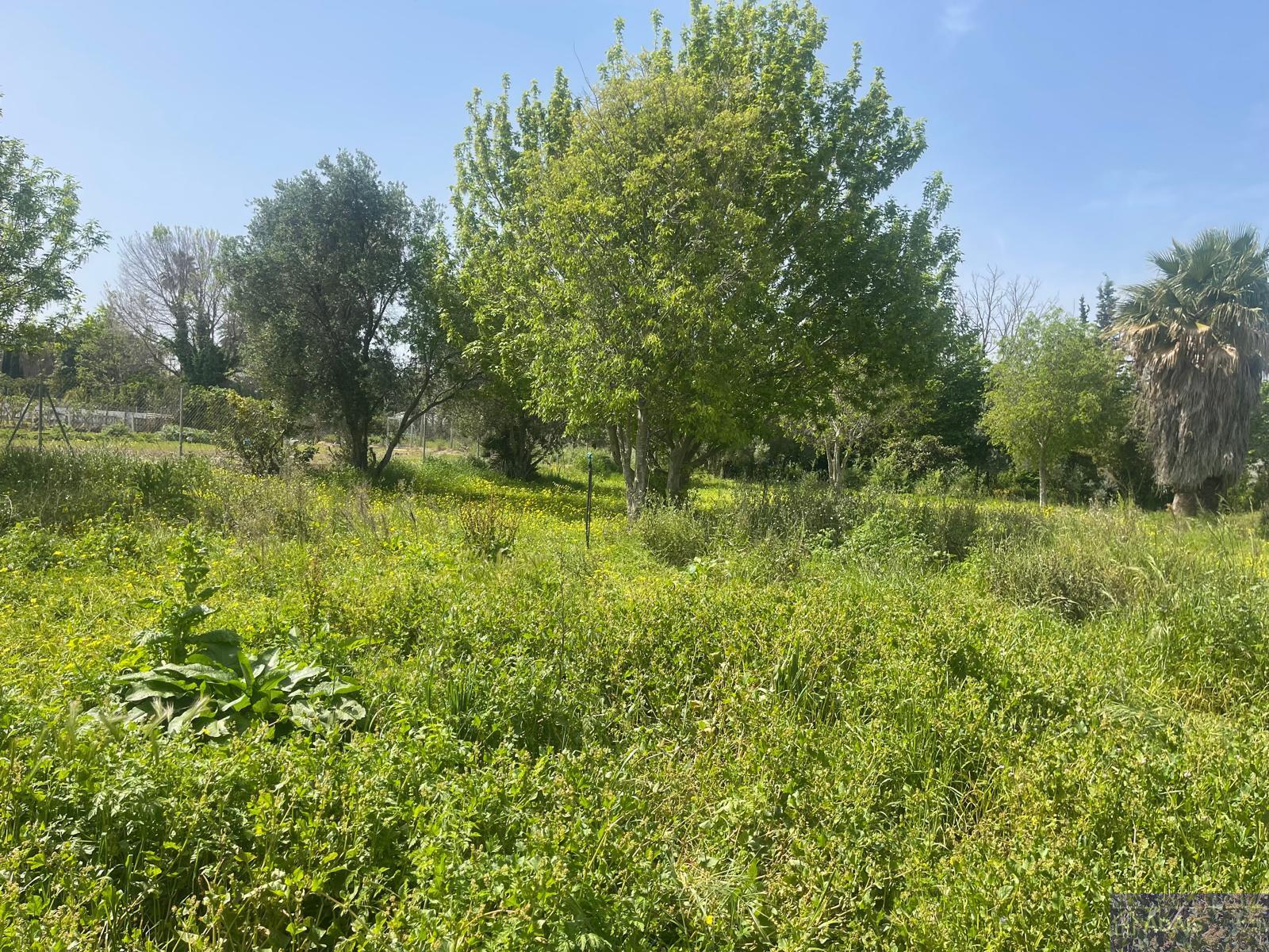 Venta de chalet en Gandia