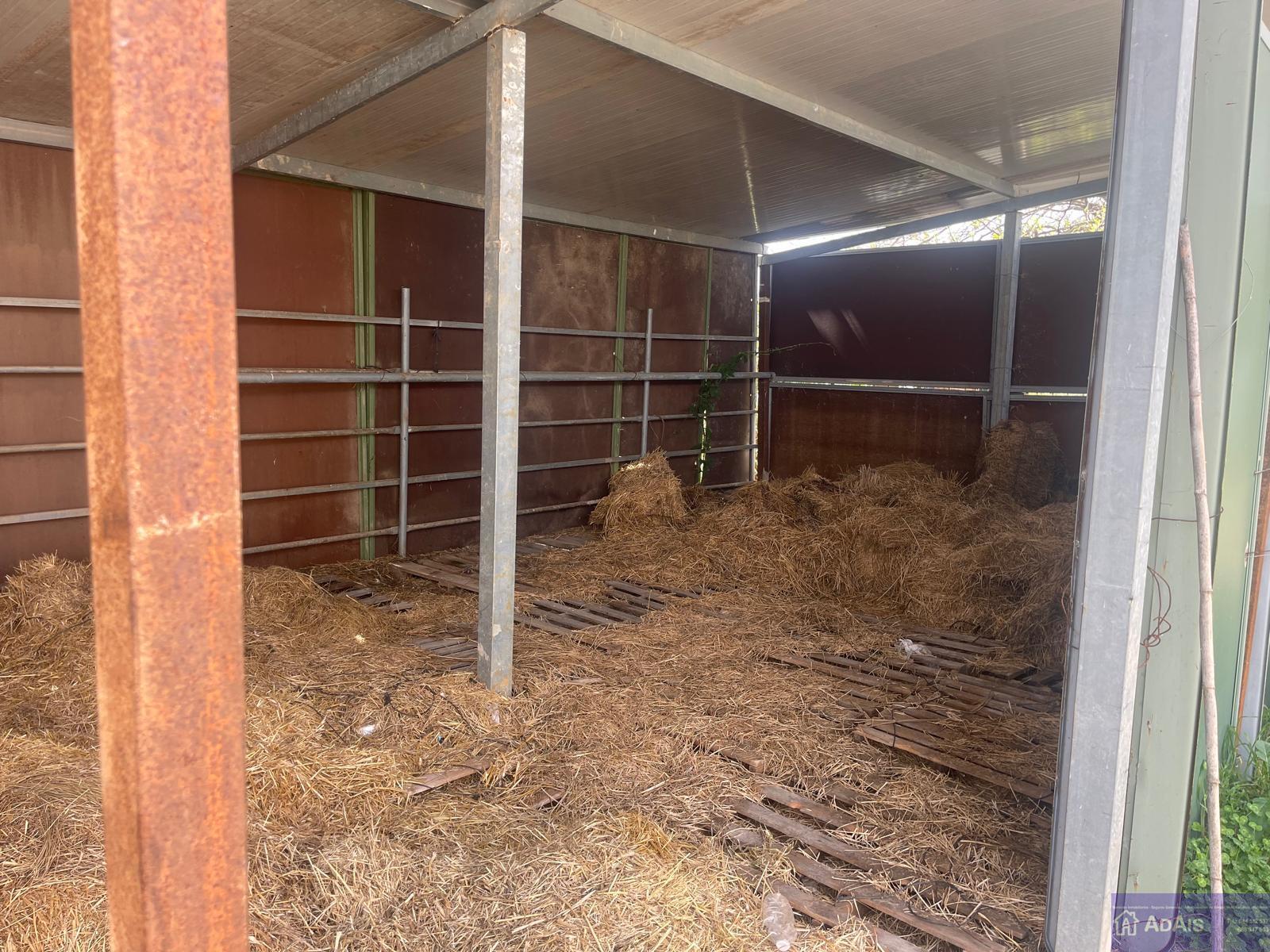 Venta de chalet en Gandia