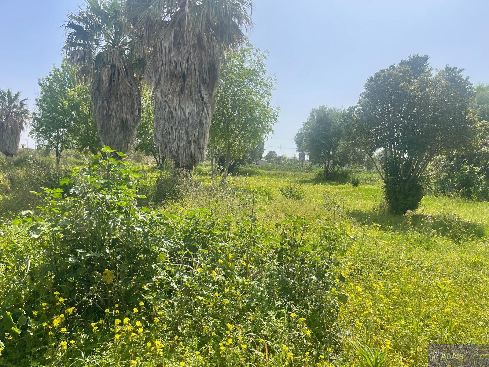 Venta de chalet en Gandia