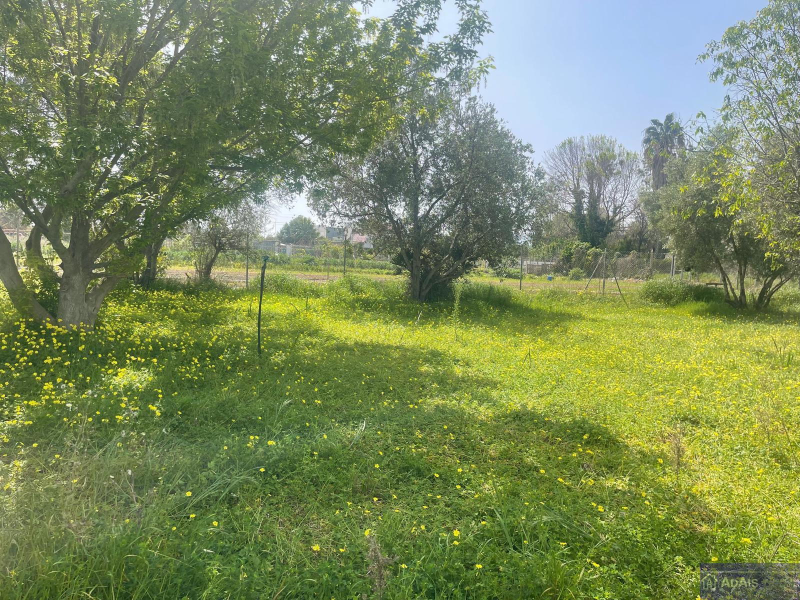 Venta de chalet en Gandia