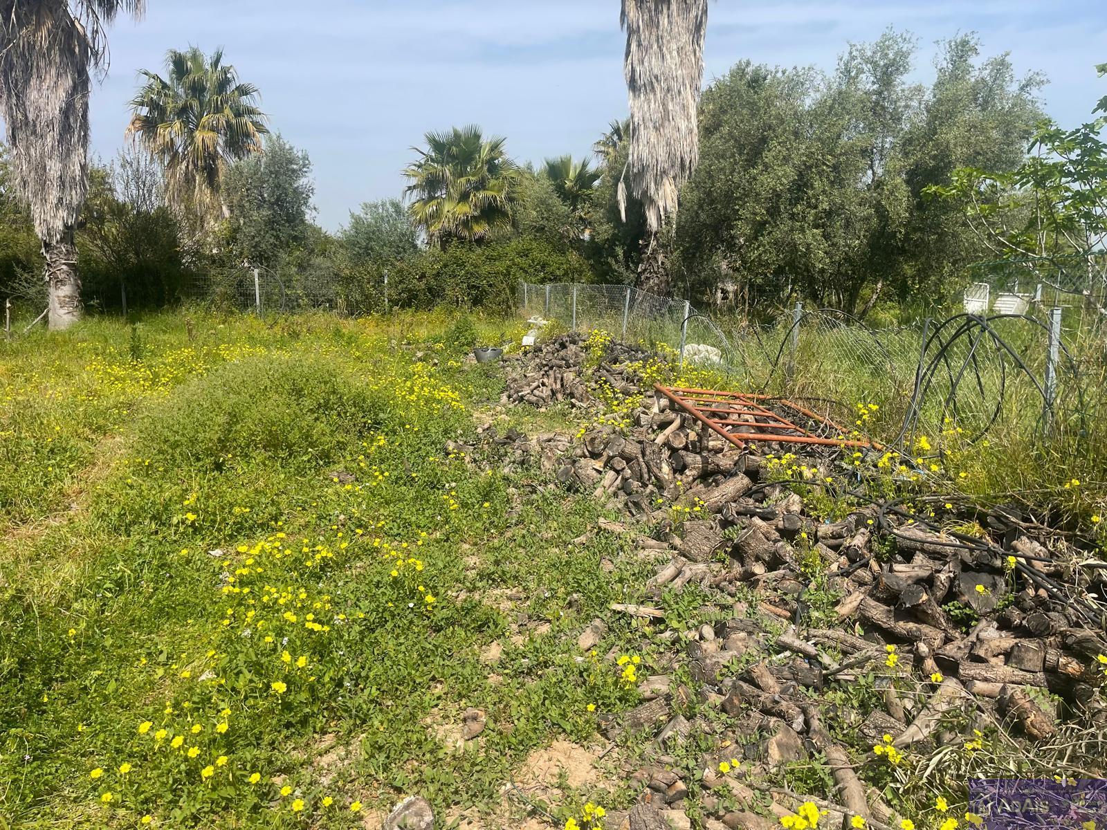 Venta de chalet en Gandia