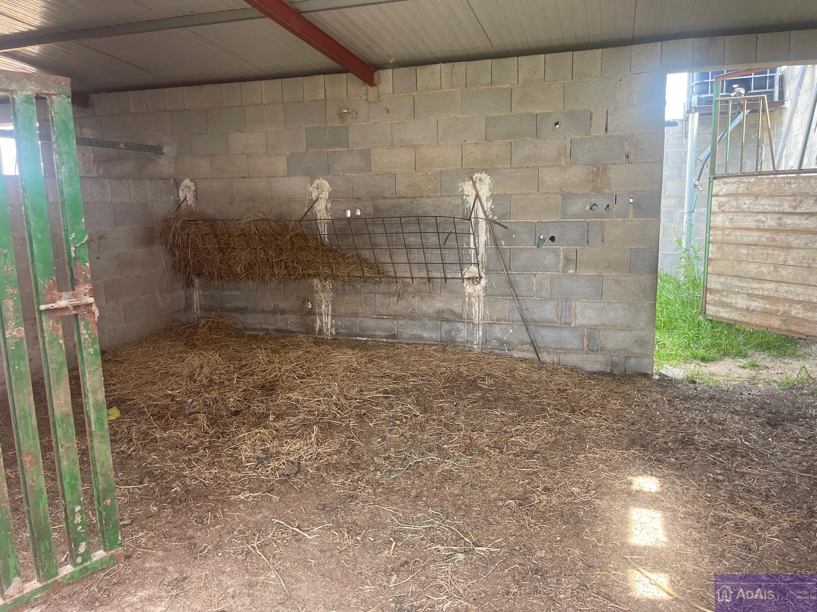 Venta de chalet en Gandia