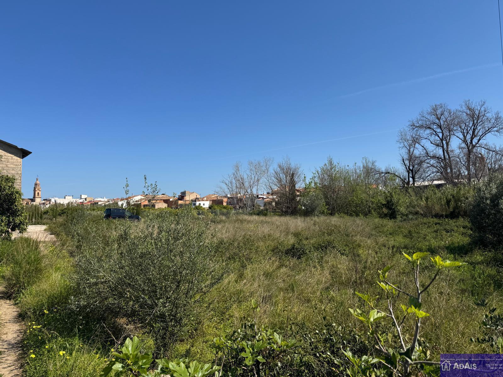 Venta de terreno en Alqueria de la Comtessa l