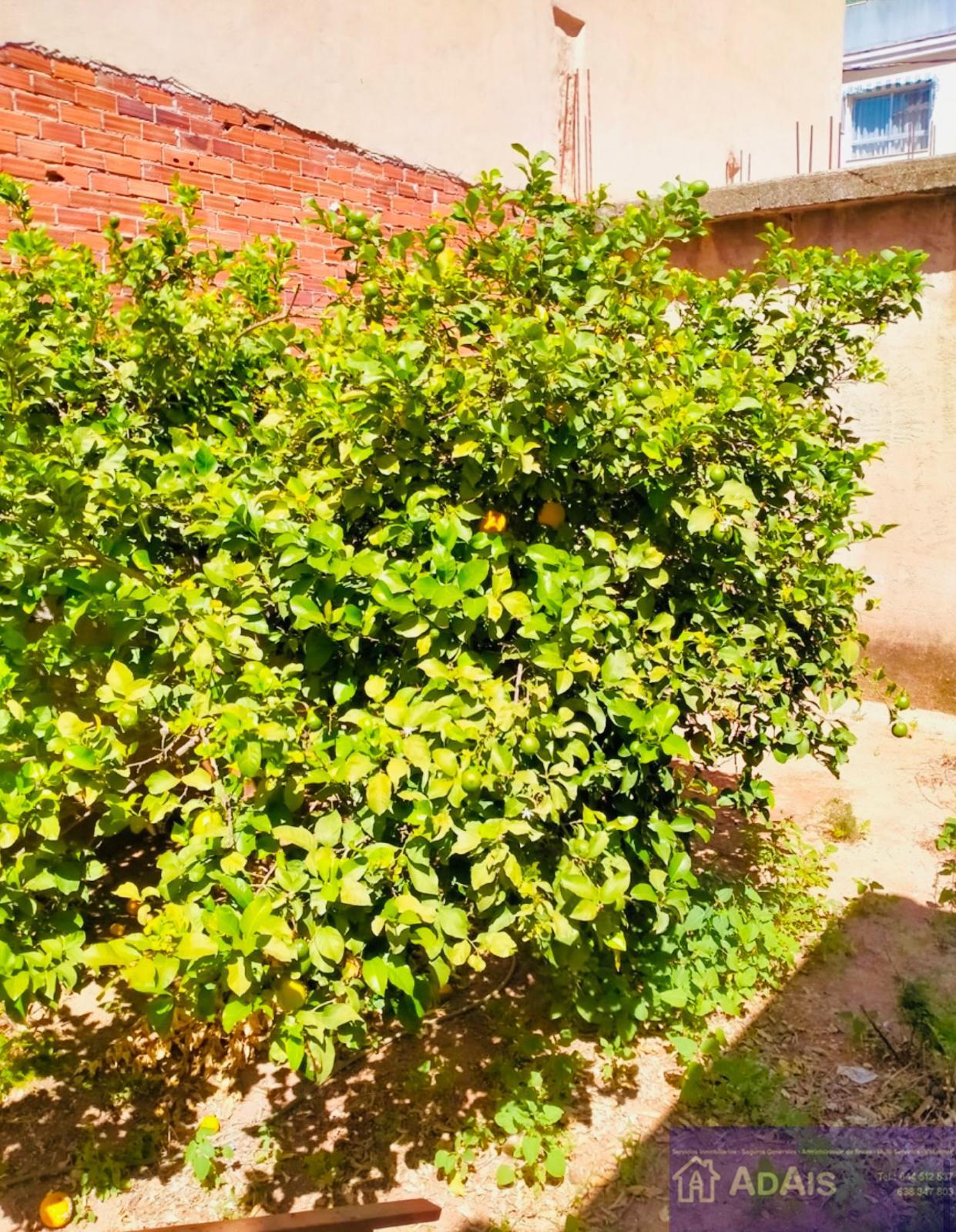 Venta de casa en Palma de Gandía