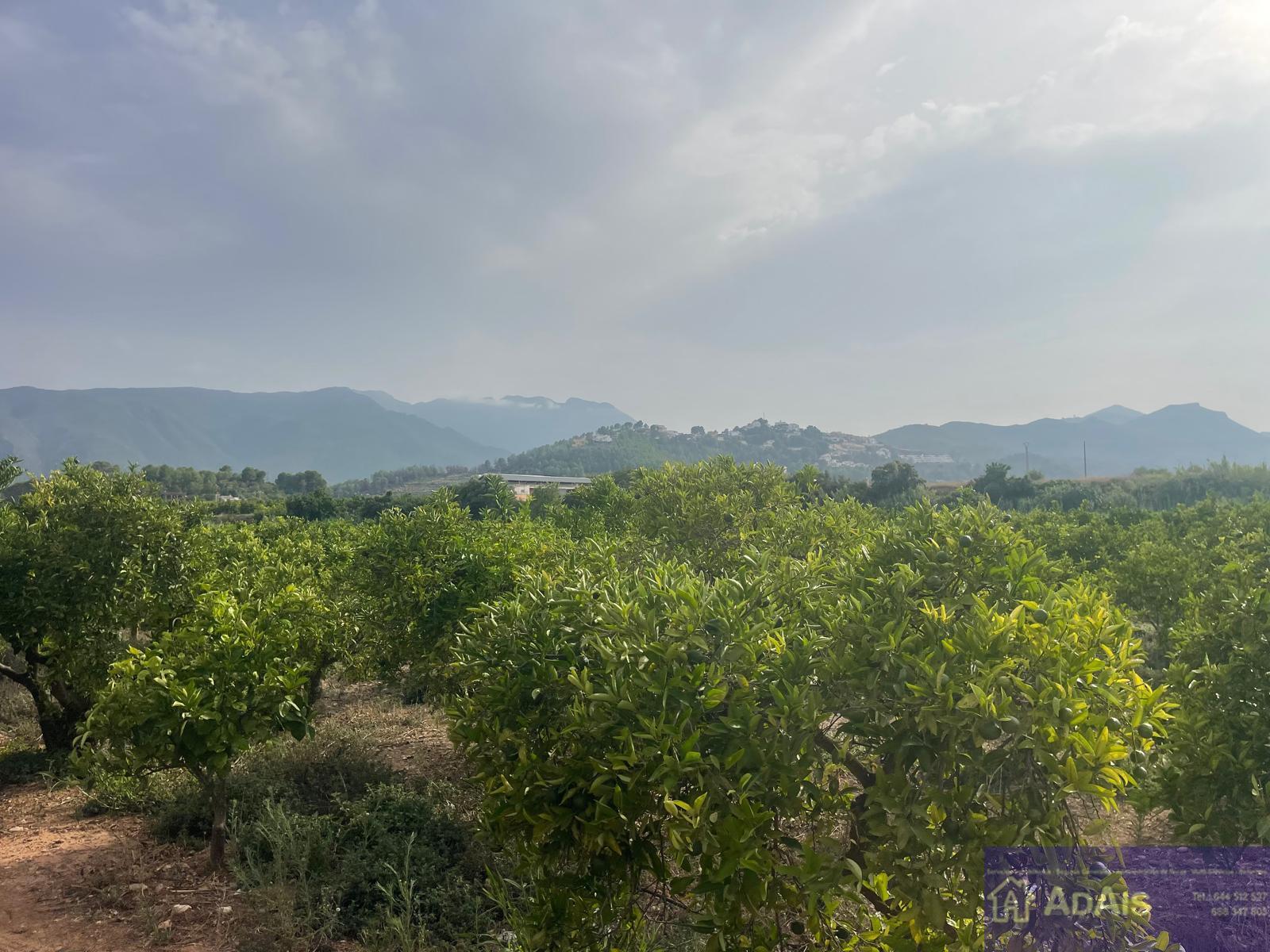 Venta de chalet en Villalonga