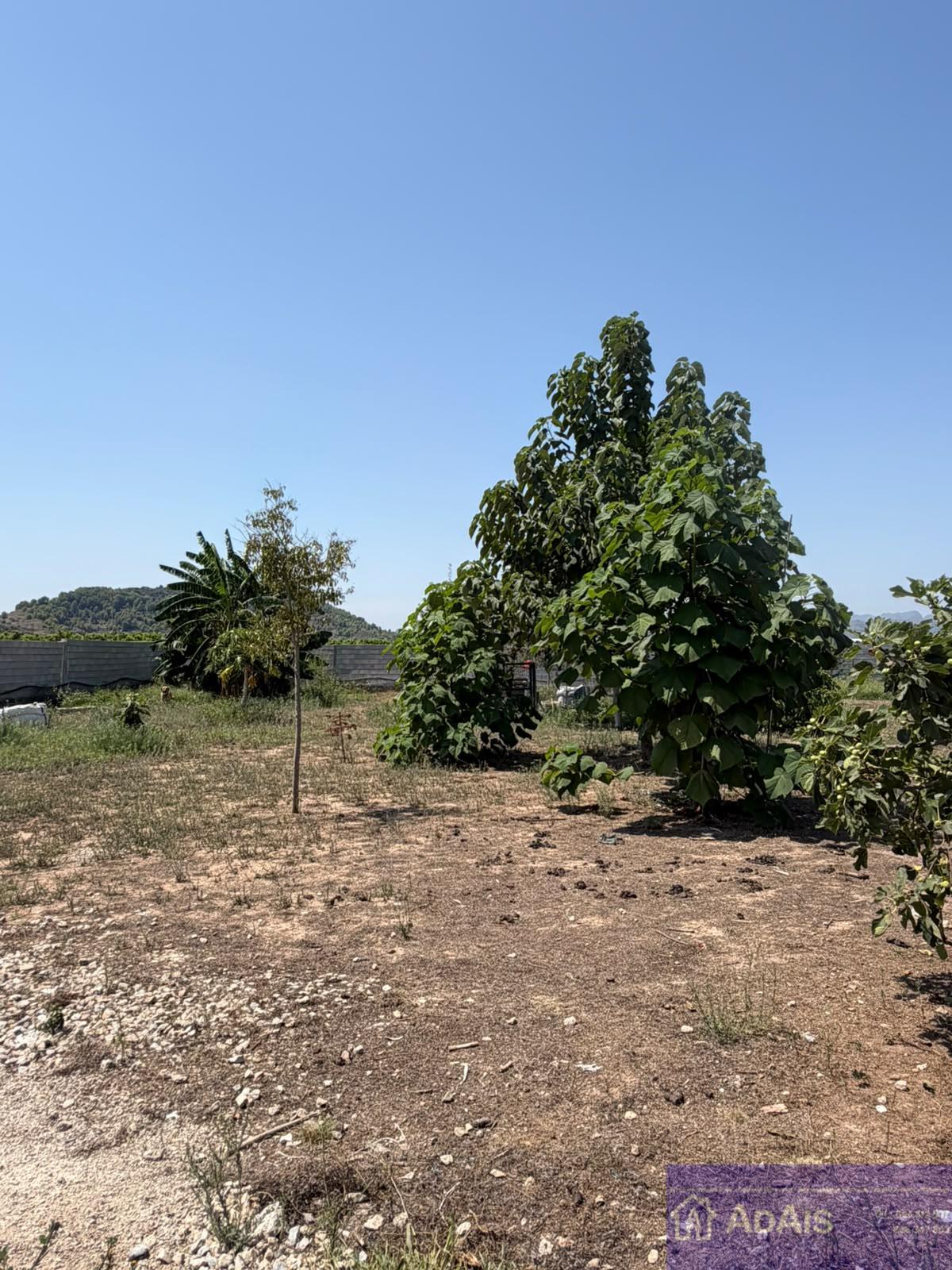 For sale of chalet in Oliva
