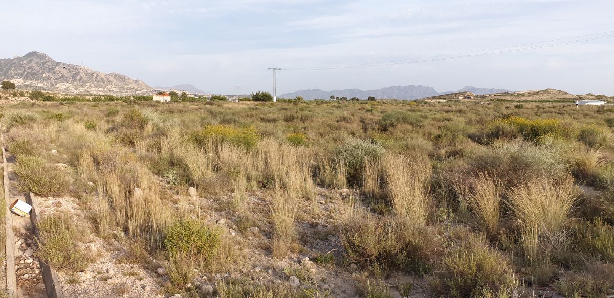 Venta de terreno en Abanilla