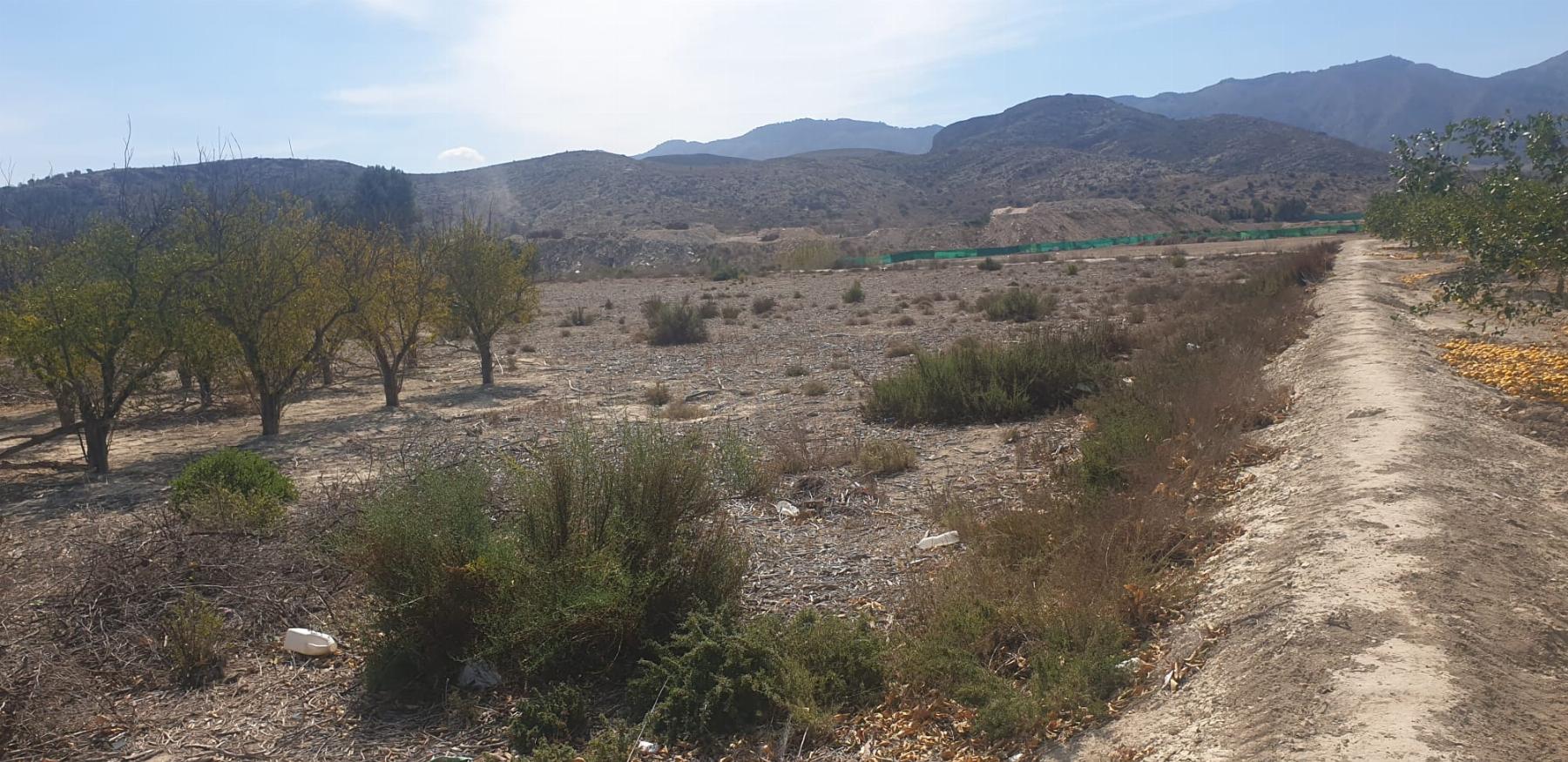 Terreno en Benferri — Photo 3