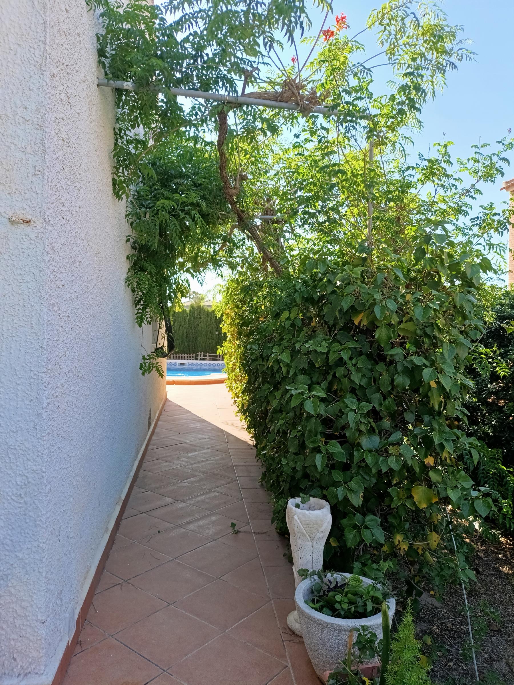 For sale of chalet in Torrevieja