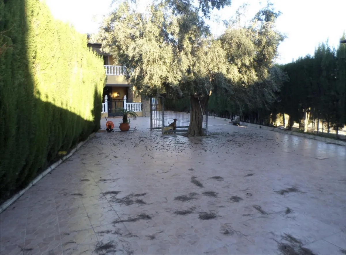 Venta de chalet en Orihuela