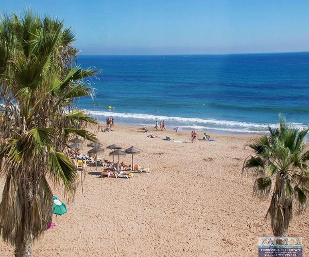 Myynti
 from
 huoneisto
 sisään

 Torrevieja