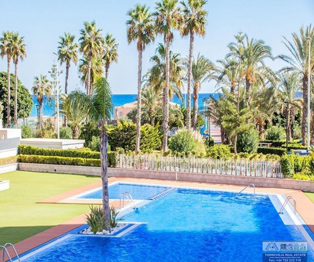 Myynti
 from
 huoneisto
 sisään

 Torrevieja