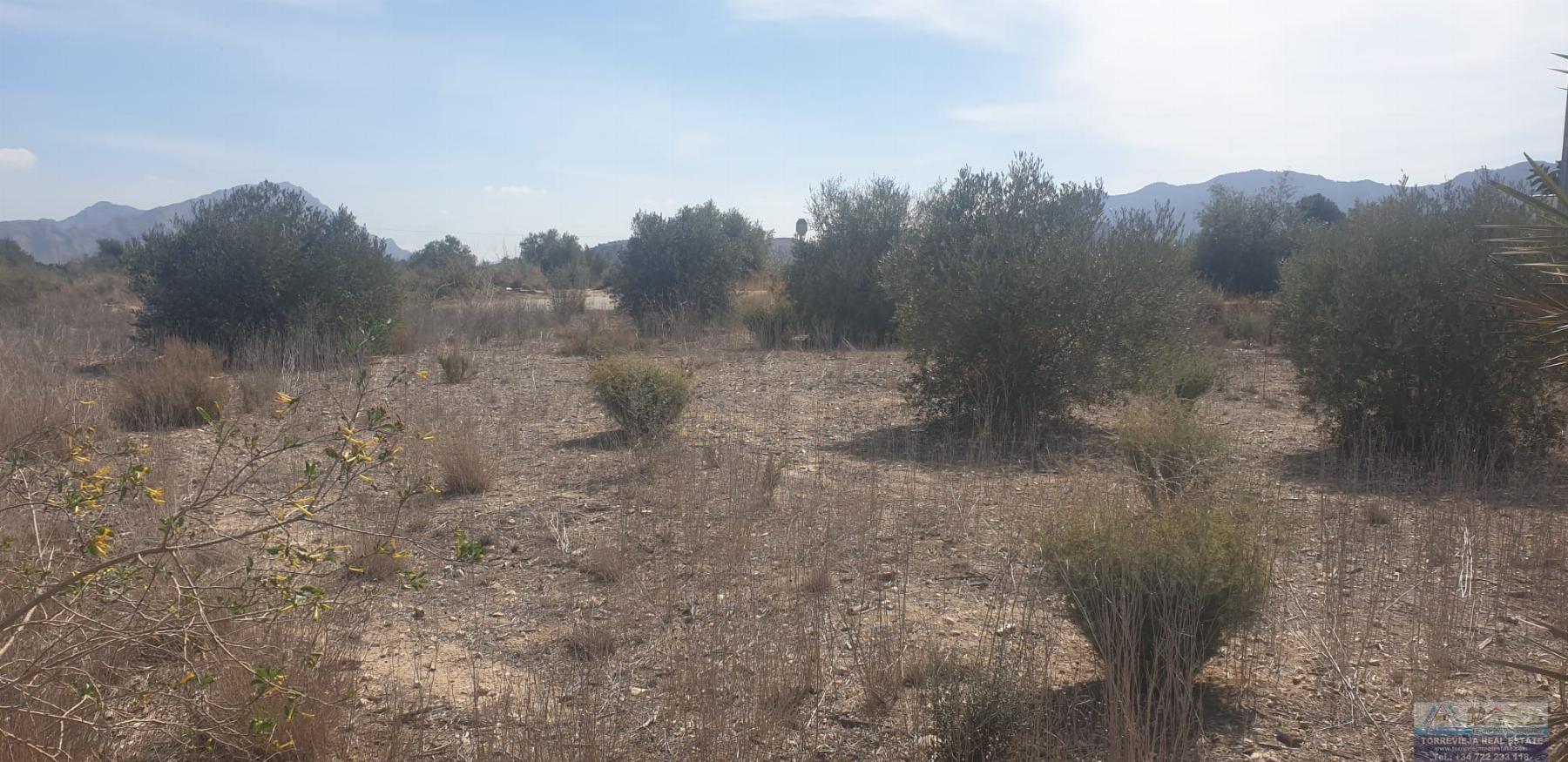 Venta de terreno en Benferri
