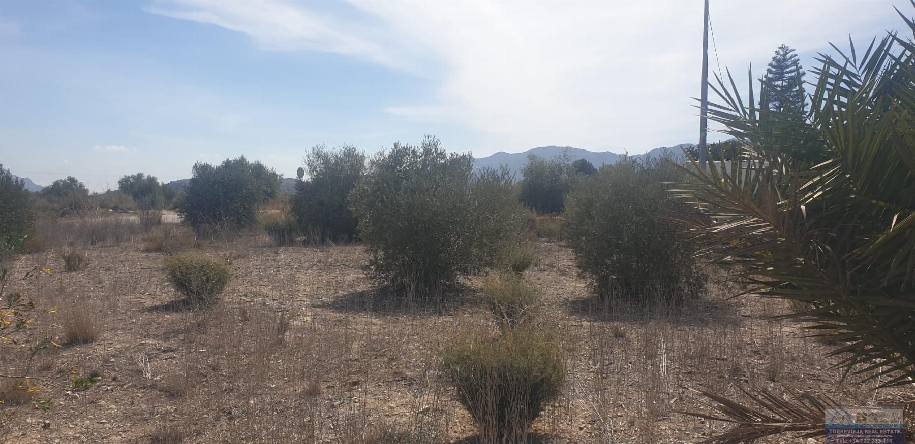Venta de terreno en Benferri