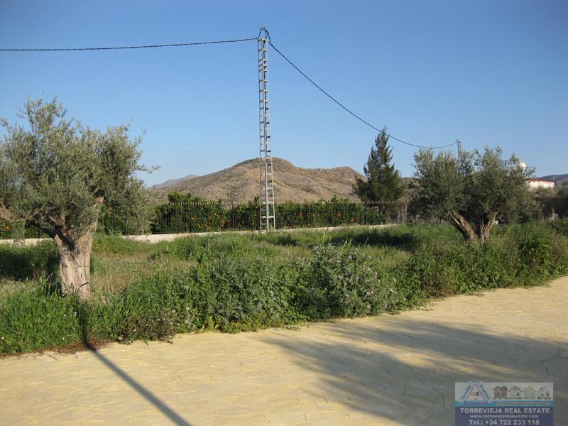 Venta de chalet en Benferri