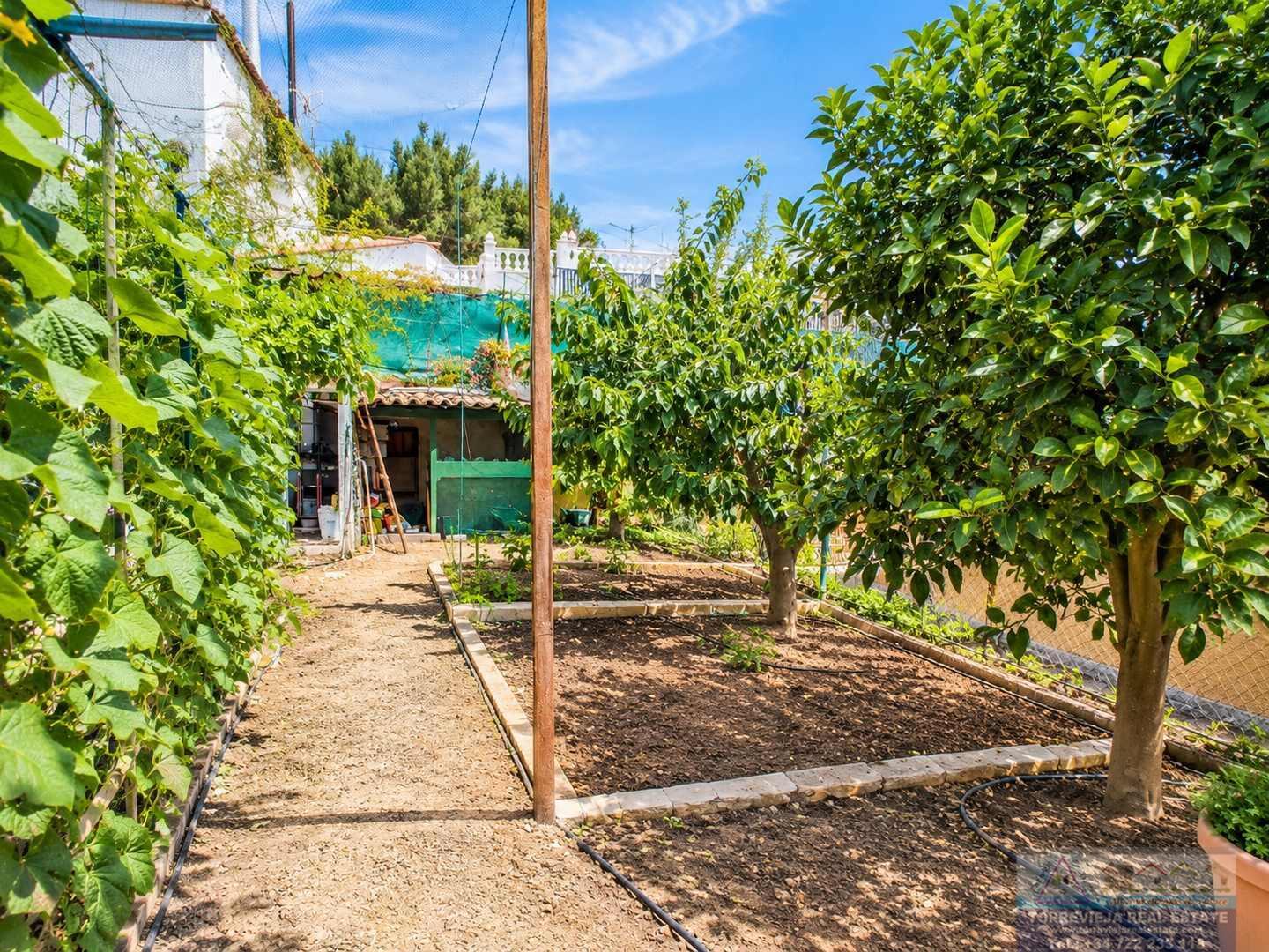 Venta de chalet en San Miguel de Salinas