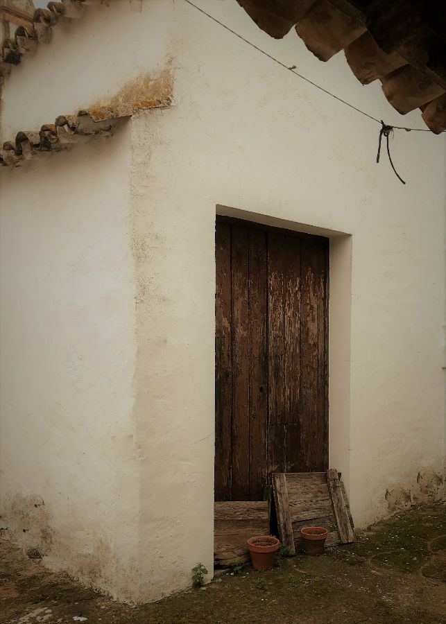 Entrada/Salida