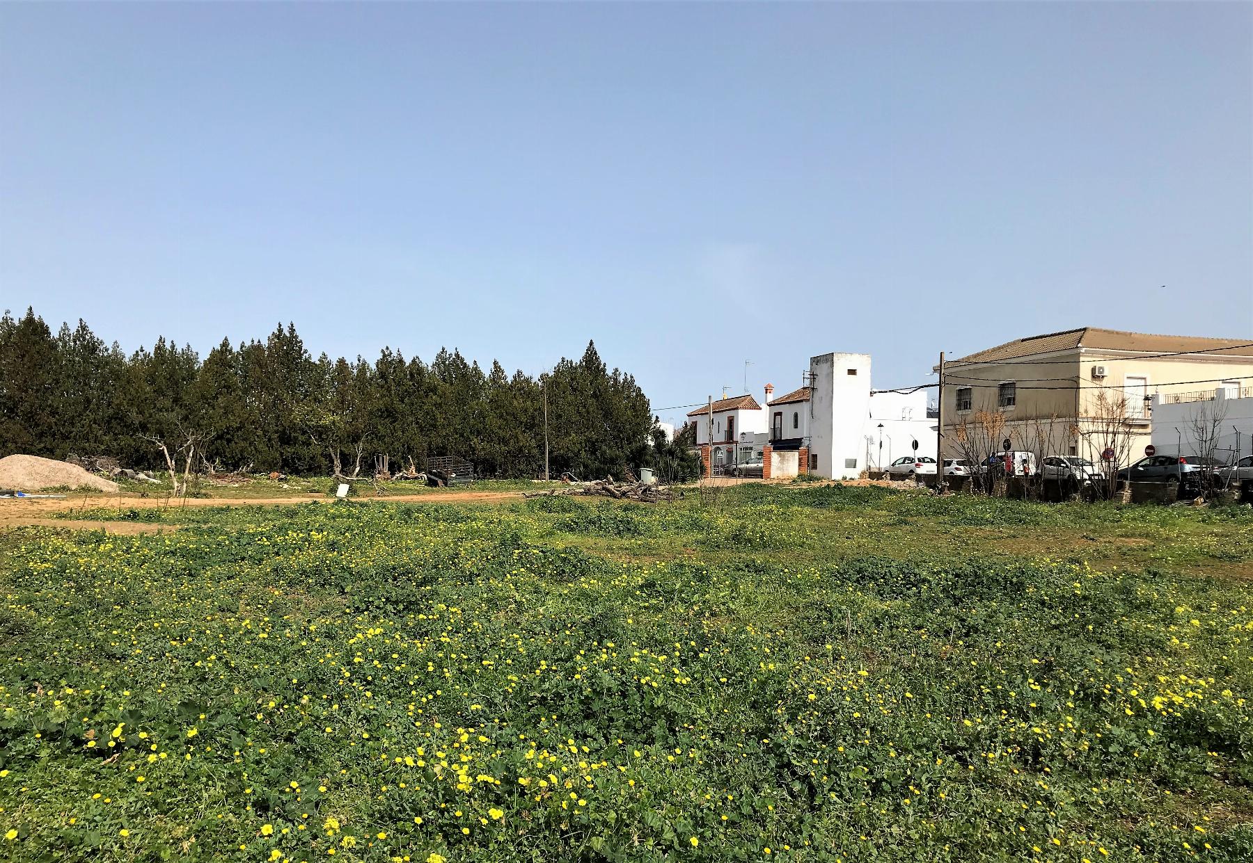 Ground