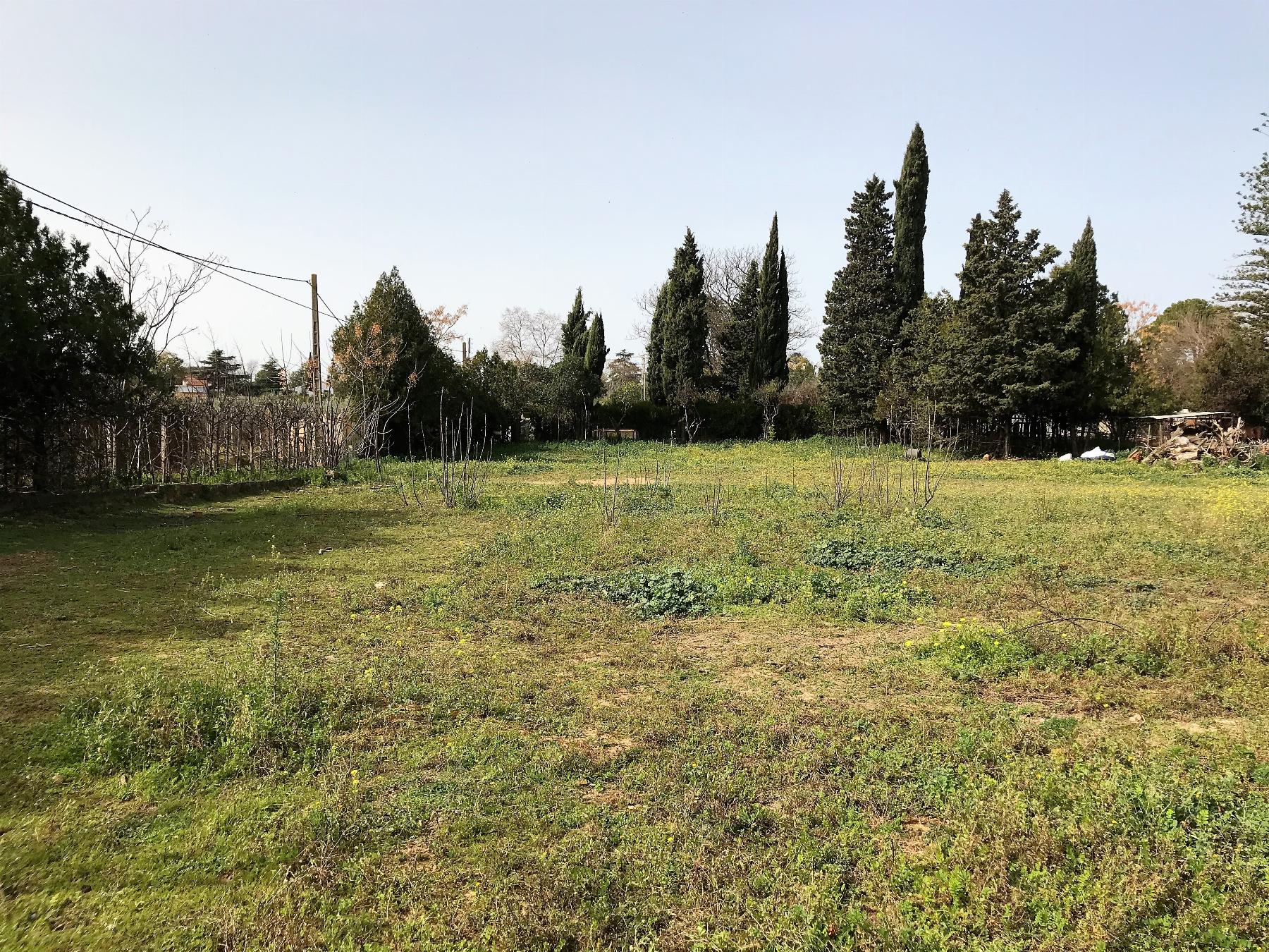 Ground