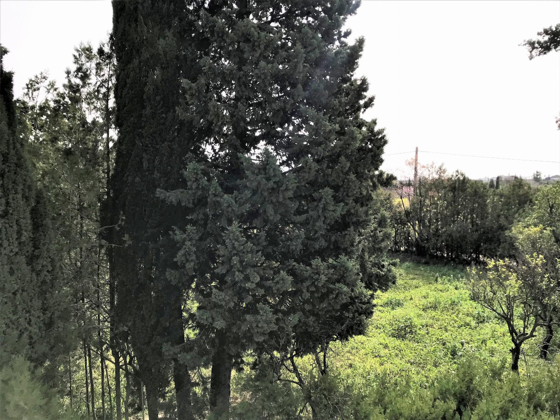 Ground