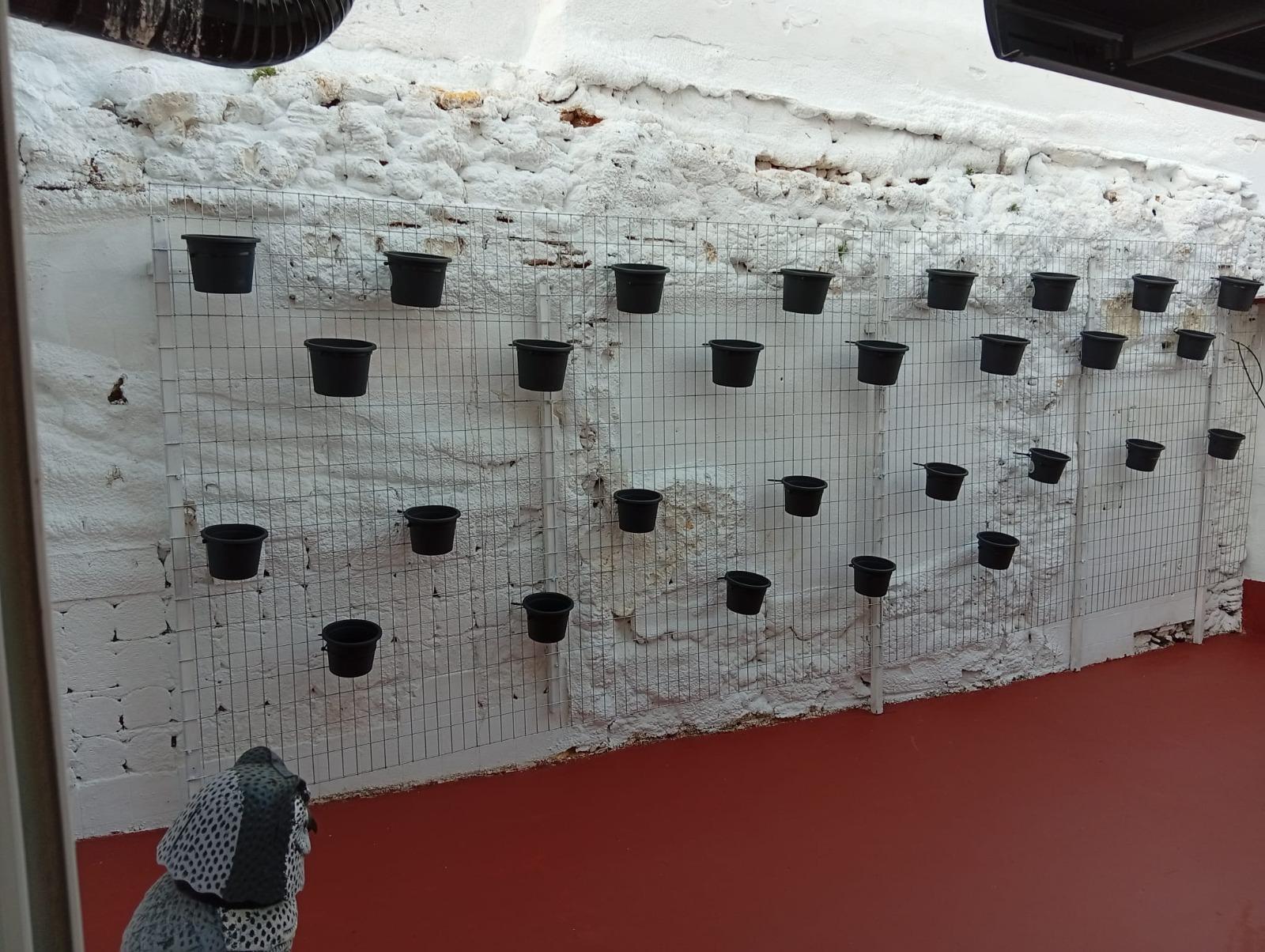Detalles