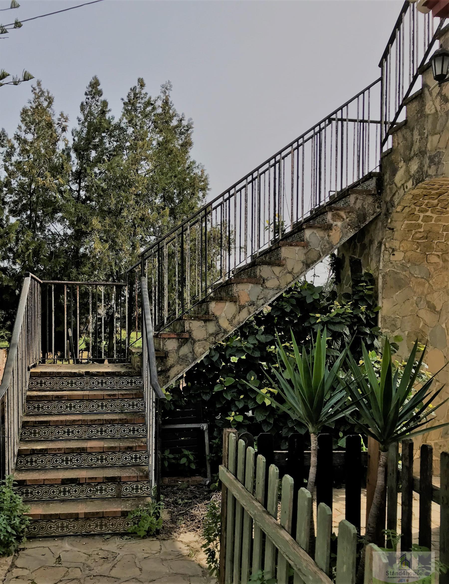 Escalera