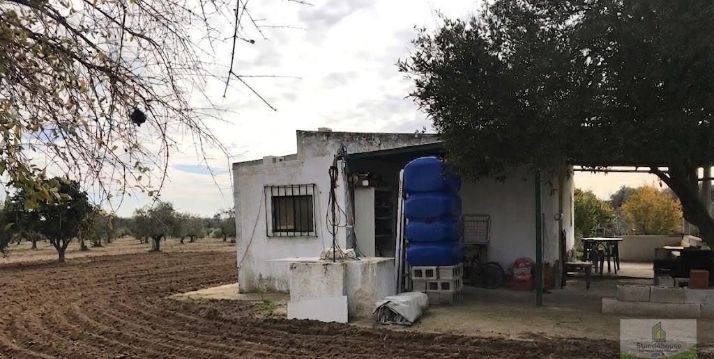 Terreno