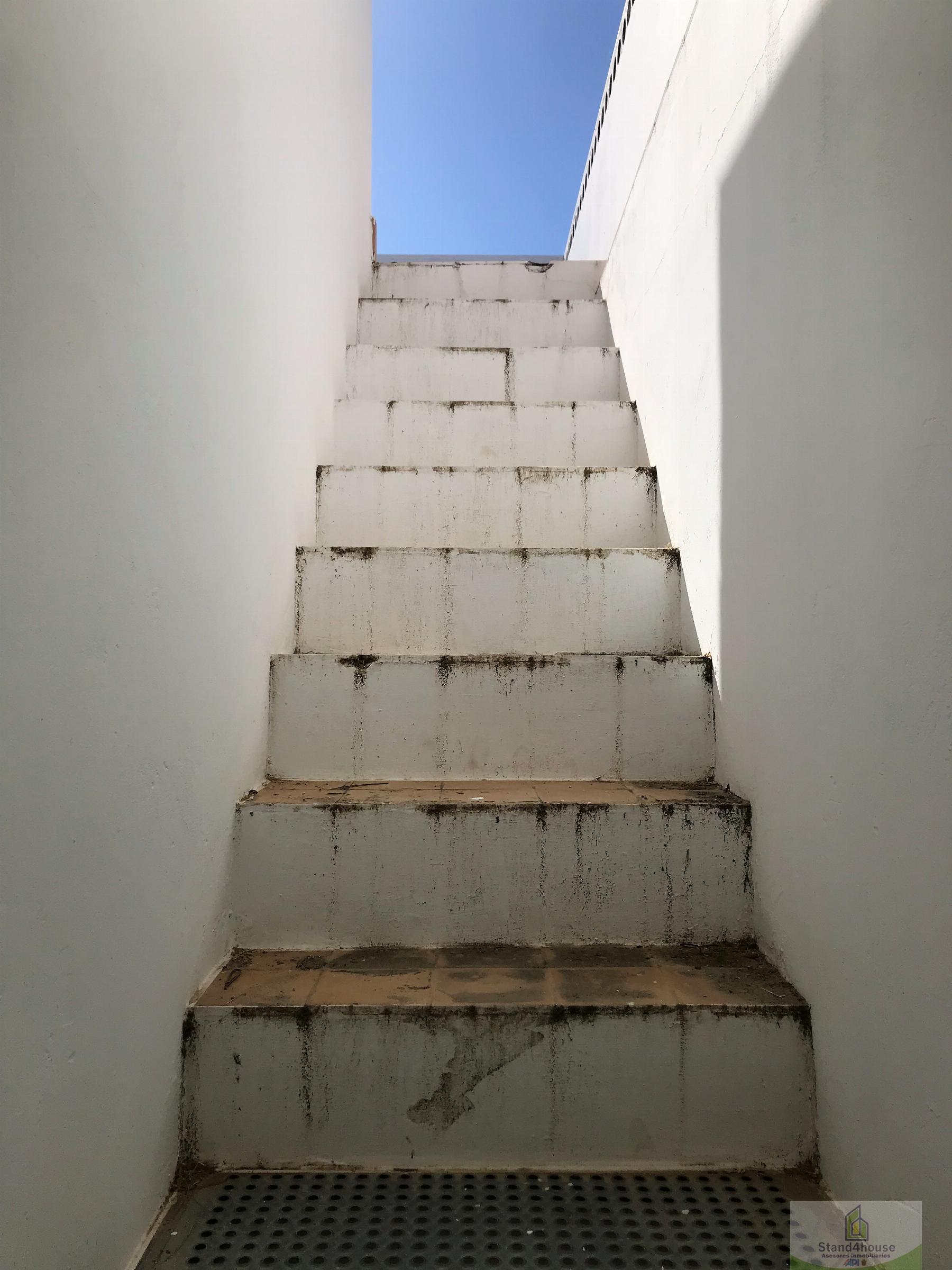 Escalera