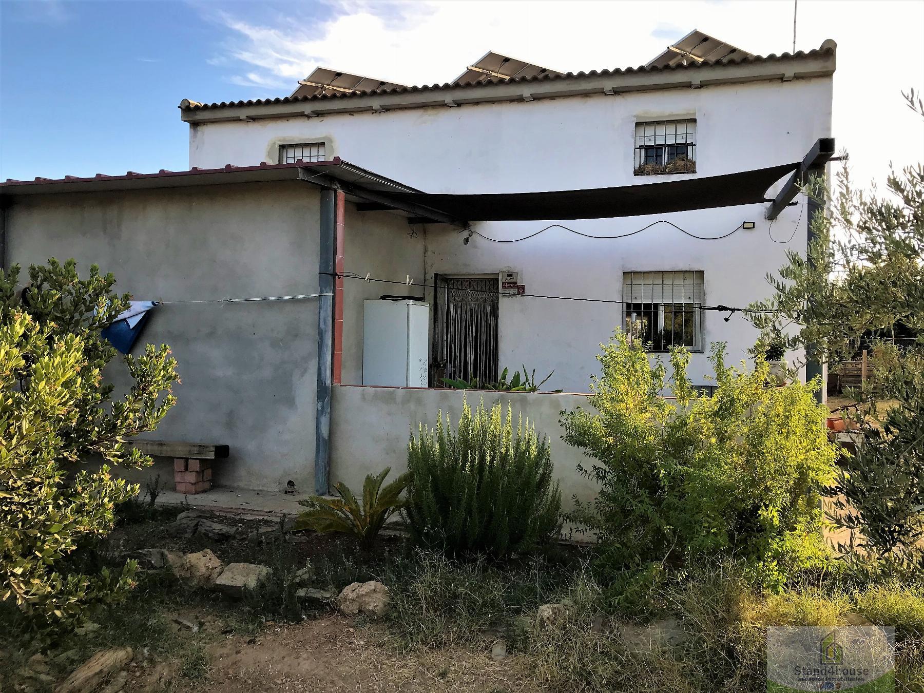 Façana