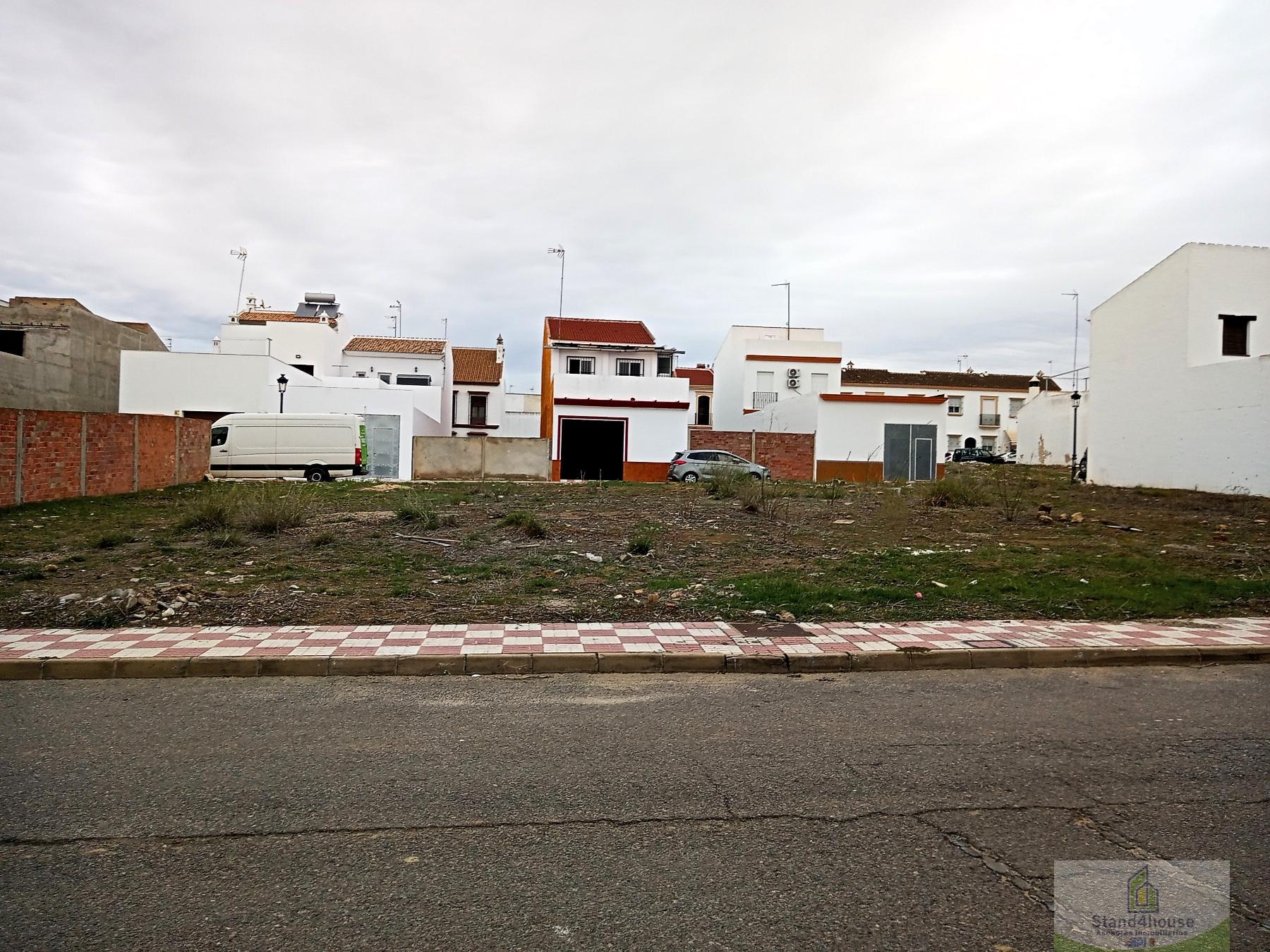 Ground