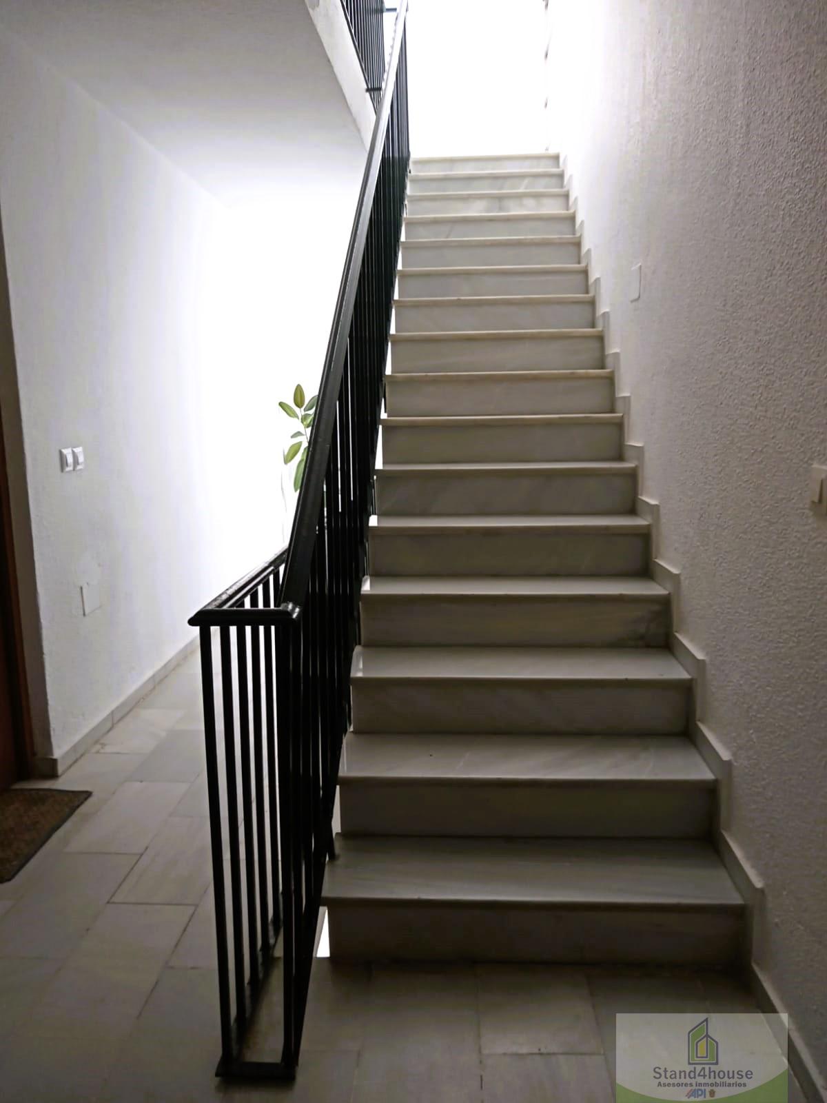 Échelle