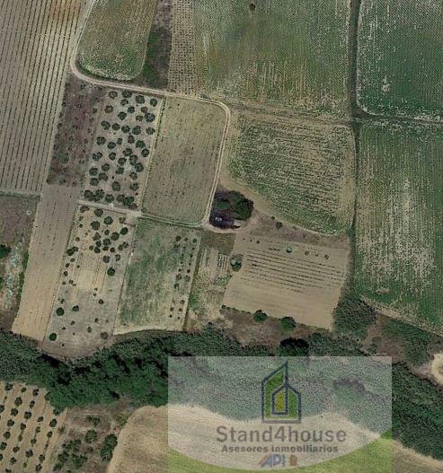 For sale of land in Bollullos Par del Condado