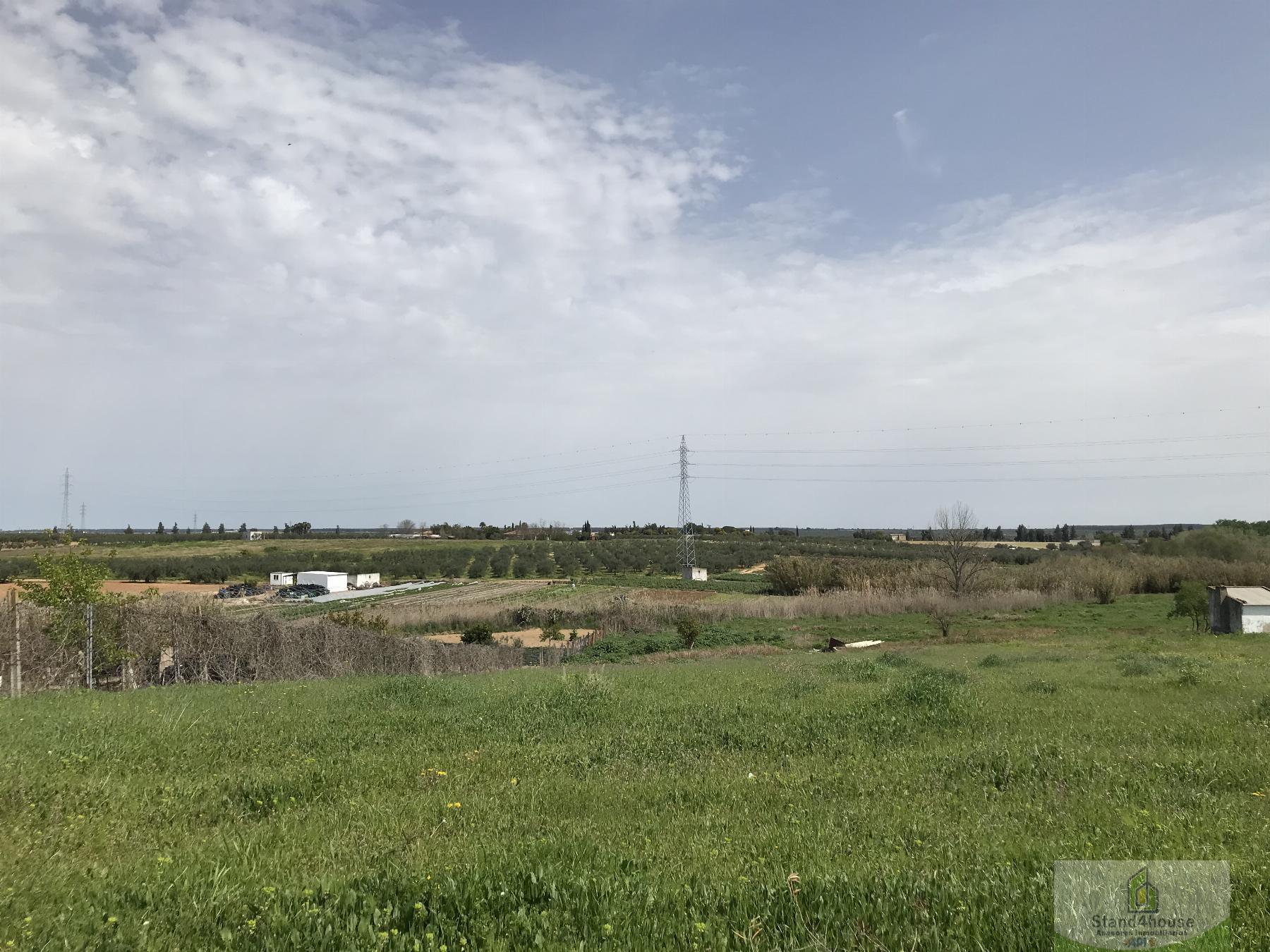 Surroundings